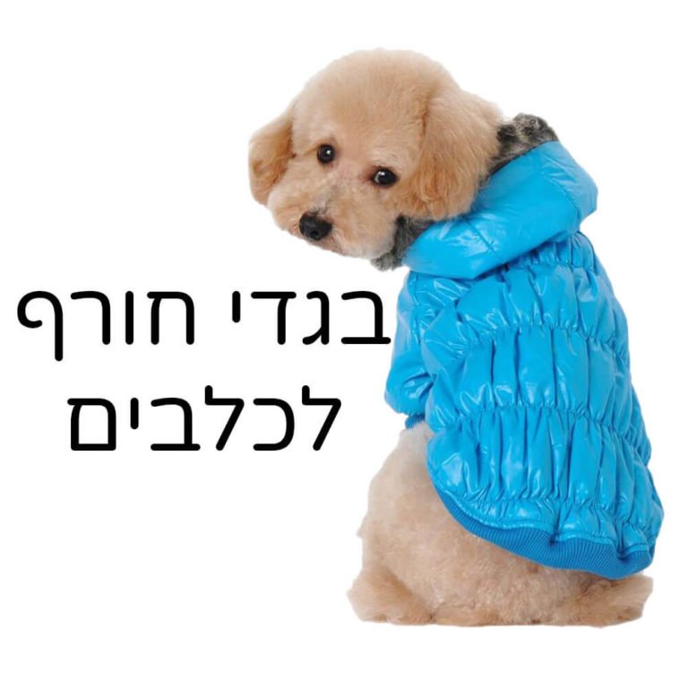בגדי חורף לכלבים וחיות מחמד סוודר מעיל גשם