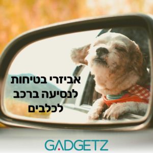 אביזרי בטיחות לנסיעה ברכב לכלבים