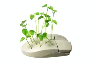 Computer Mouse with Sprouts