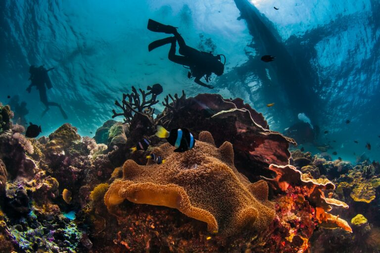 underwater reefscape